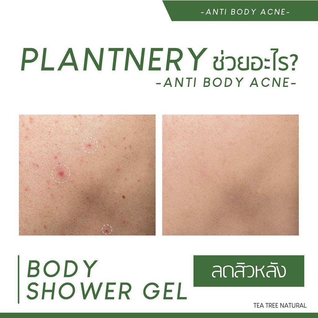 Plantnery Tea Tree Body Shower Gel