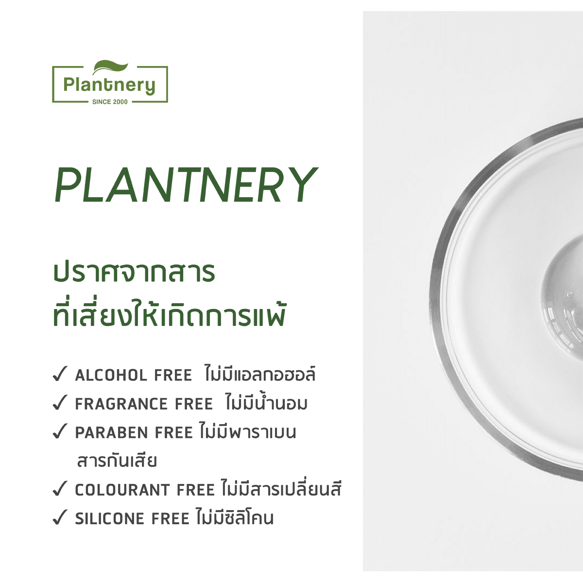 Plantnery Tea Tree Day Cream SPF30 PA+++ 50 g  สูตรนี้มาในรูปแบบของเนื้อกันแดดเจลครีม บางเบา เกลี่ยง่าย ซึมซาบไว ไม่เหียวเหนอะหนะ ไม่หนักหน้า ไม่อุดตัน และไม่ทำให้เกิดสิว เหมาะสมอย่างยิ่งกับผู้มีผิวเป็นสิว ผิวมัน ผิวบอบบาง แพ้ง่าย  ALCOHOL FREE FRAGRANCE FREE PARABEN FREE COLOURANT FREE